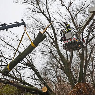 Feuerwehr-Einsatz im Bezirk Mödling