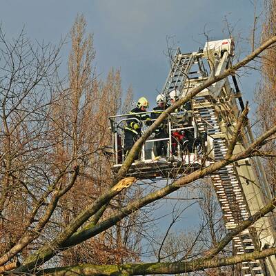 Feuerwehr-Einsatz im Bezirk Mödling