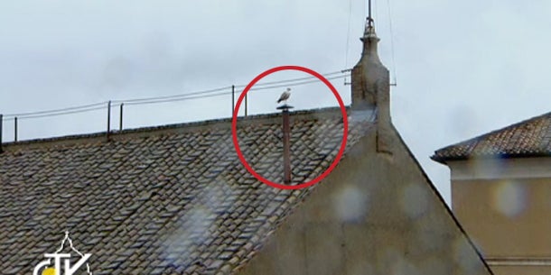 Neuer Papst kommt aus Buenos Aires