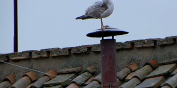 Neuer Papst kommt aus Buenos Aires