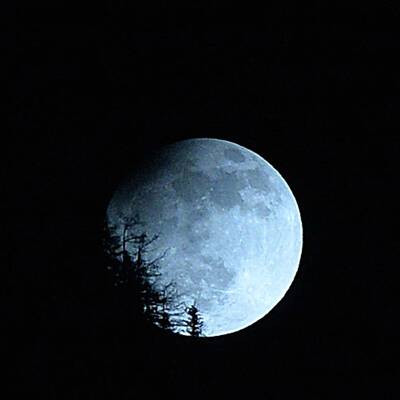 Toller Anblick: Partielle Mondfinsternis über Österreich.