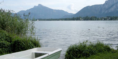 Streit um Hunde: Drei Verletzte