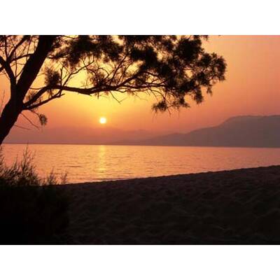 Die romantischsten Fotos