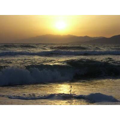 Die romantischsten Fotos