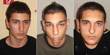 montage_wiener_serben