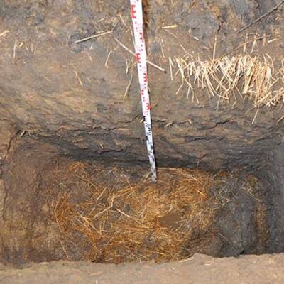 1.200 km mit Leiche im Auto