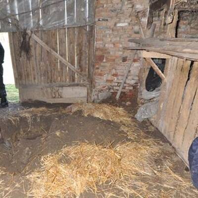 1.200 km mit Leiche im Auto