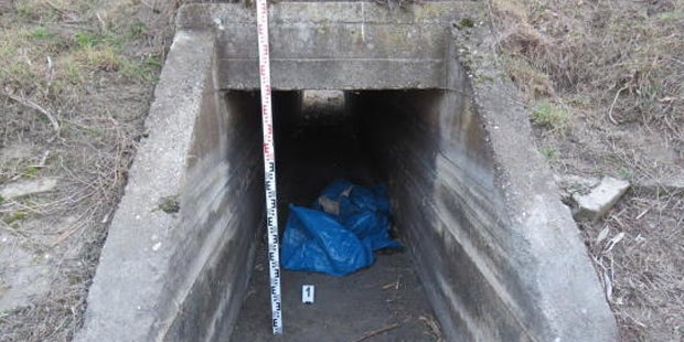 Freund in Wien erstochen und zerstückelt