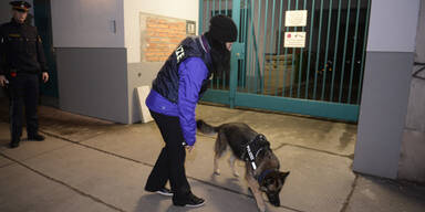 Mordfall Tatjana: Ex-Freund stellt sich