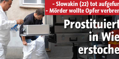 Mord in Wien: Prostituierte erstochen