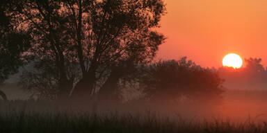 morgenstimmung_nebel