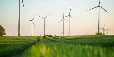 Traismauer-&Ouml;VP ventiliert Windr&auml;der-Volksbefragung