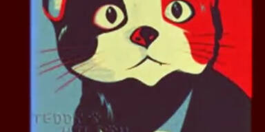 Satire: Katze kandidiert als B&uuml;rgermeister