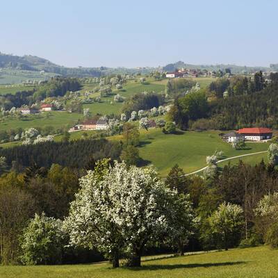 Kitzbühler Alpen (T): Sonnig, 15° in 1000 m