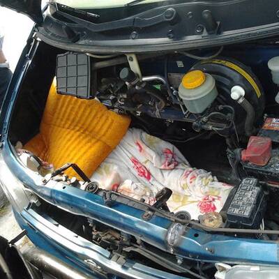 Afghane liegt 20 Stunden in Motorhaube