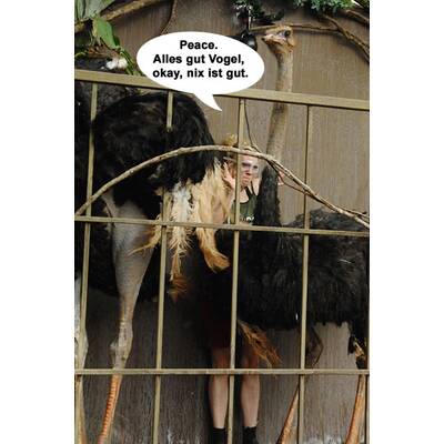 Larissa Marolt im Dschungelcamp