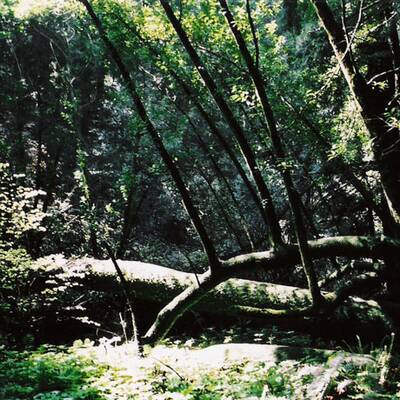 Cape Cod, Massachusetts/USA