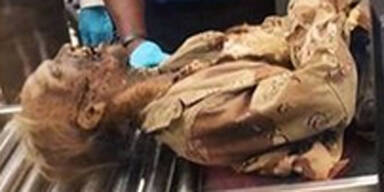 Mumie sorgt f&uuml;r Aufregung an Flughafen