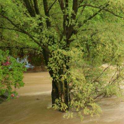 Überschwemmungen in der Steiermark