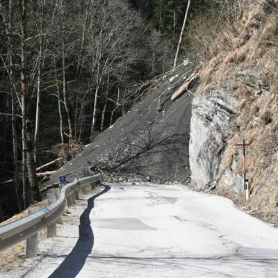 Riesenmure im Pinzgau