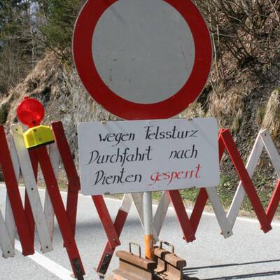 Riesenmure im Pinzgau