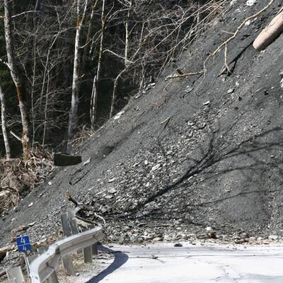 Riesenmure im Pinzgau