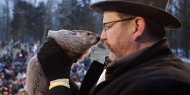 Phil verrät, ob der Frühling kommt