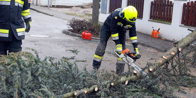 100 Feuerwehreinsätze in Niederösterreich