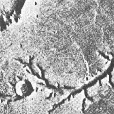 NASA feiert Erfolg ++ Obama: 