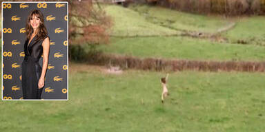 WM-Quali: Wetter-Fee zieht blank