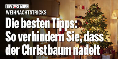 Die besten Tipps: So verhindern Sie, dass der Christbaum nadelt