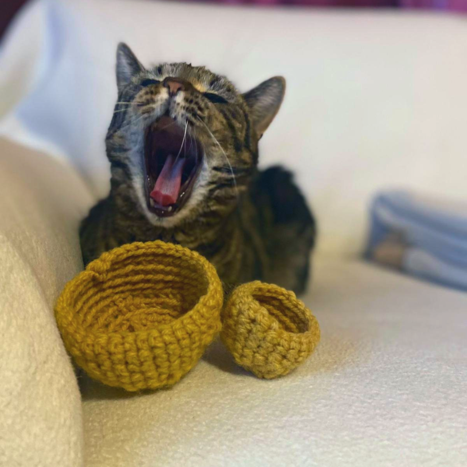 Nestwärme für Tierbabys