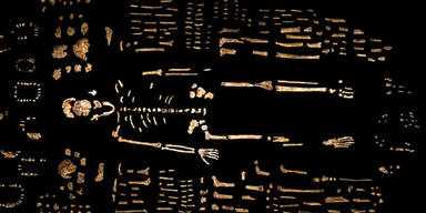 Forscher entdecken neue Menschenart