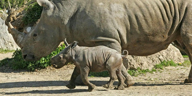 Wetter: Morgen bis zu 28 Grad in Österreich