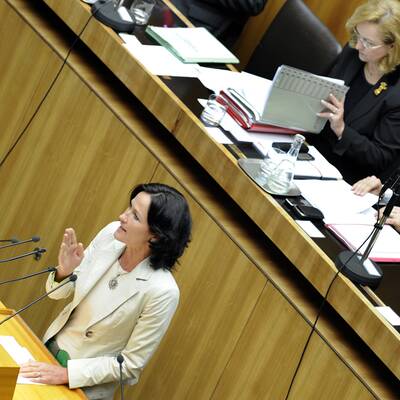 FPÖ-Chef Strache sagte Pippi Langstrumpf-Lied aufnationalrat7