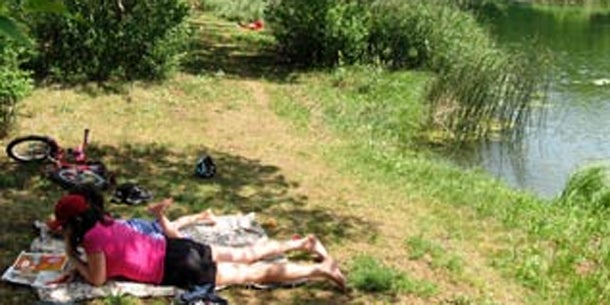 So schwitzt Österreich bei Sahara-Hitze