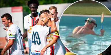 Rapid schwitzt im Trainingslager, Arnie jagt Bienen auf Mallorca