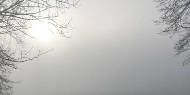 Ober&ouml;sterreich versinkt im Nebel.