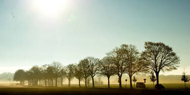 Nebel, Sonne, Schnee und Regen