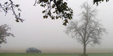 nebel_auto_