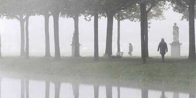 nebel_herbst