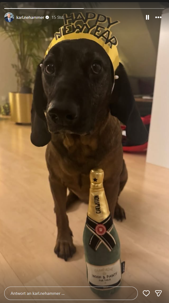 Ex-Kanzler Nehammer und Kern schicken tierische Fotos