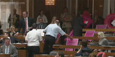 NEOS schwänzen Budget-Debatte