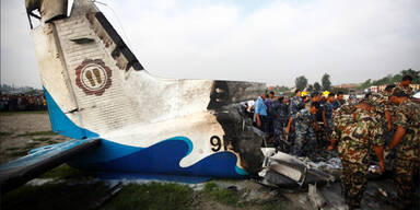 Adler verursachte Flugzeug-Absturz 