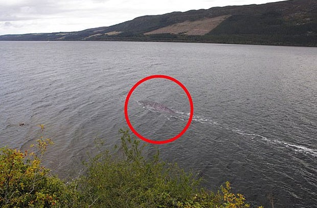 Zeigt dieses Foto das legendäre Loch-Ness-Monster?