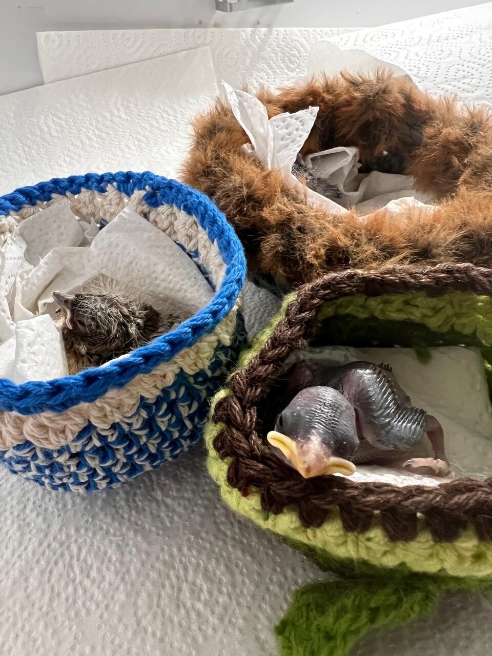 Nestwärme für Tierbabys