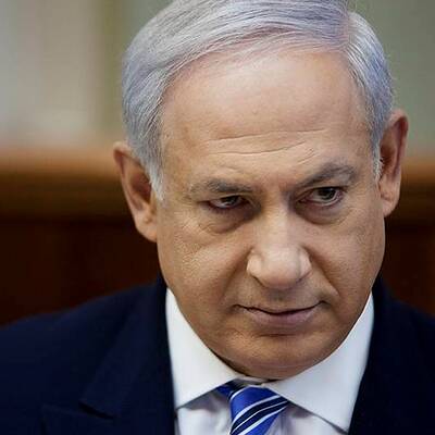 Felisa Wolfe-Simon, Wissenschaftlerin