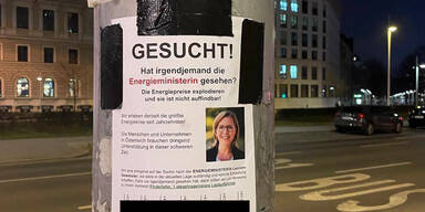 "Gewessler gesucht": Flyer sorgt f&uuml;r Lacher