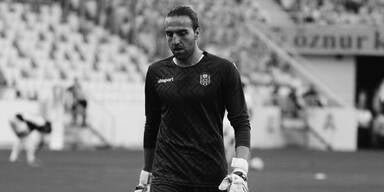 Ahmet Ey&uuml;p T&uuml;rkaslan