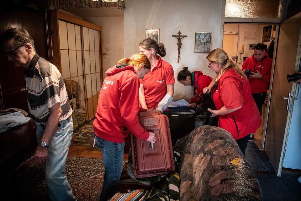 47 Katzen aus 50-Quadratmeter-Wohnung in Wien gerettet